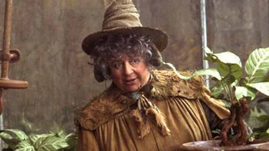 Pomona Sprout (Miriam Margolyes) – Professora de Herbologia e diretora da Lufa-Lufa. Especialista em plantas mágicas, ensina aos alunos sobre ingredientes essenciais para poções e feitiços.
