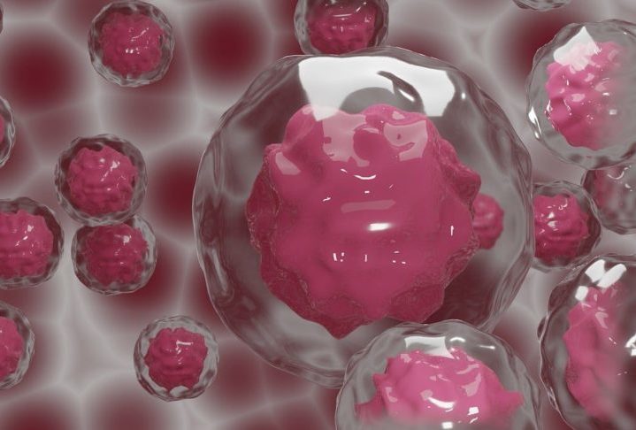 McCarthy reivindicou a garantia dos direitos de Sky, Rose e dos outros quatro embriões...