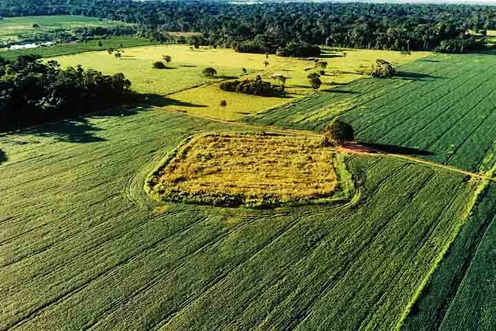 Escavados no solo, esses desenhos só podem ser vistos em sua dimensão real do alto.
