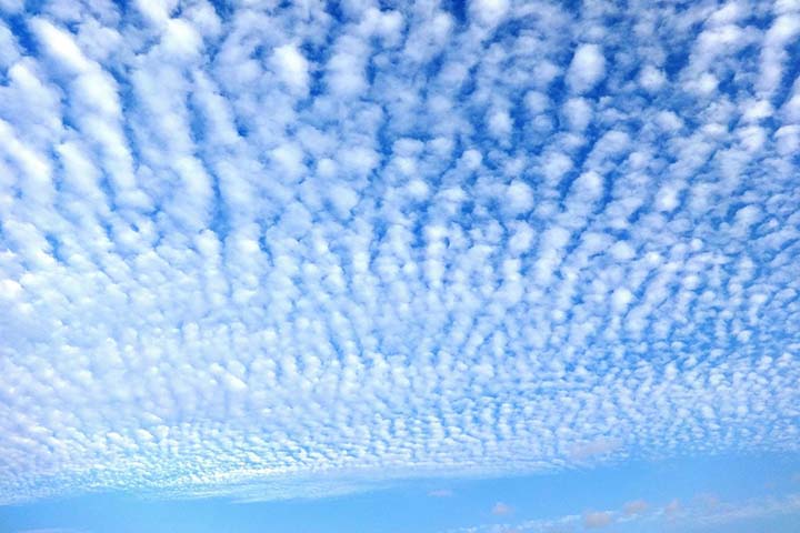 Cirros - São nuvens altas, geralmente acima de 6.000 metros, formadas por cristais de gelo. Aparecem como filamentos finos, delicados e esbranquiçados, frequentemente em formas que lembram fios de cabelo. Indicam mudanças climáticas quando se acumulam.
