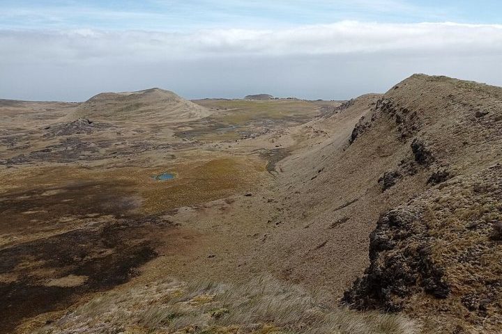 A ironia se tornou trágica quando, anos depois, um grande incêndio na ilha evidenciou o papel preventivo que o gado exercia ao conter o avanço da vegetação.