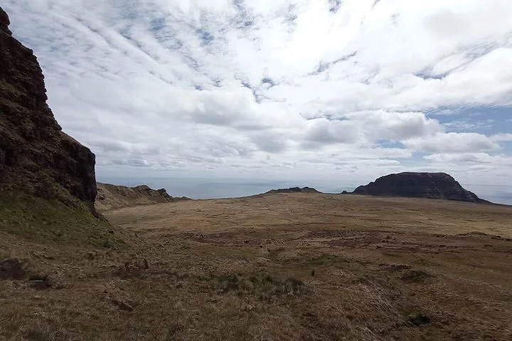 A adaptação bem-sucedida à ilha se deve em parte à pré-adaptação climática do gado Jersey, já que as condições da Ilha de Jersey (seu local de origem) são semelhantes às da Ilha Amsterdã. 