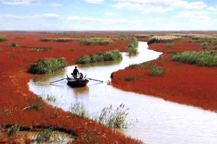 Para deslocar-se de Pequim até a Praia Vermelha há trens que fazem o percurso em três horas. 

