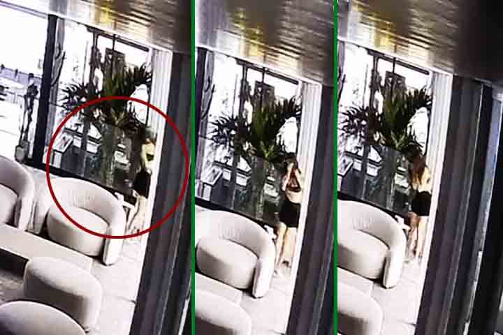 Juliette andava na casa quando deu de cara com o vidro transparente. Isso chama atenção para a necessidade de estar bem atento a portas transparentes em residências e empresas. 