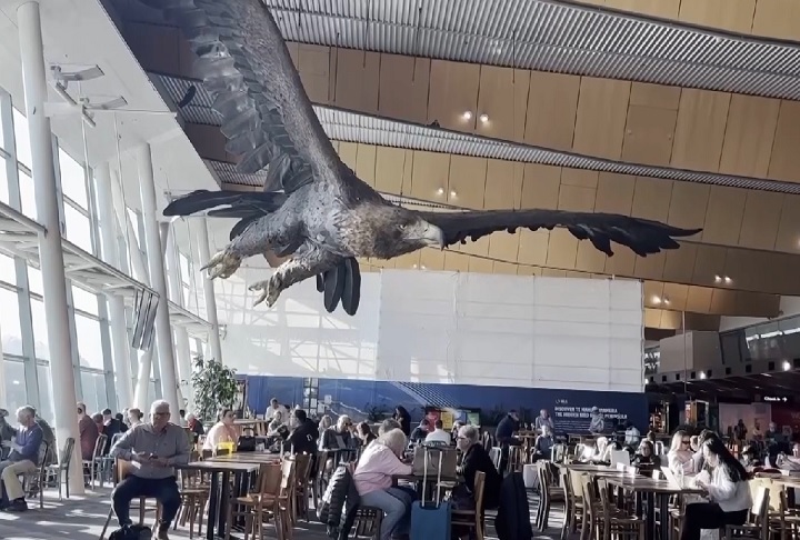 Agora, após mais de uma década no local, o Aeroporto de Wellington anunciou que as estátuas seriam removidas em definitivo no dia 9 de maio de 2025. 