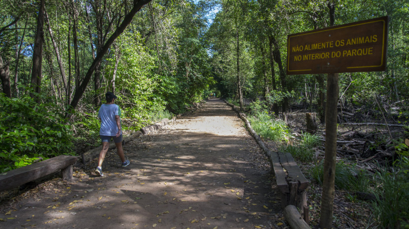 As trilhas do Parque Estadual do Cocó, em Fortaleza, são reabertas para o público a partir desta terça-feira, 13. As visitas podem ocorrer de terça-feira a domingo, das 5h30min às 17h30min. O local esteve fechado desde sexta-feira, 9, devido à elevação do nível do rio Cocó causada pelas chuvas