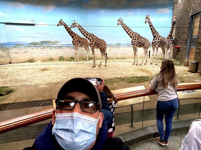 As áreas do zoológico reproduzem o ambiente de onde os bichos são originários, como florestas tropicais ou savanas africanas. Além disso, o parque também é um lugar para ajudar e preservar várias espécies.