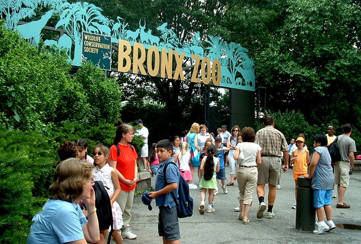 Bronx Zoo, EUA: Um dos maiores e mais antigos zoológicos dos Estados Unidos é o do Bronx, com 265 acres Inaugurado em 1899, ele conta com mais de 6 mil animais de mais de 650 tipos diferentes que vivem lá.