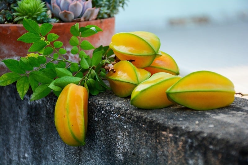 Por ter boas quantidades de fibras, a carambola ajuda a diminuir a velocidade de absorção do carboidrato dos alimentos, controlando os níveis de glicose no sangue.