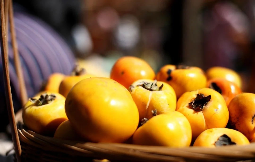 O caqui é rico em vitamina C, carotenoides e taninos, antioxidantes que ajudam a combater vírus, bactérias e fungos e diminuindo, assim, o tempo de duração de gripes, resfriados e alergias.