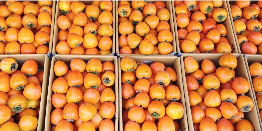 Embora seja menos consumido que seu parente próximo (pertencentes à família das Solanáceas), o tomate, ele se destaca pela textura macia e adocicada, ideal para ser consumido in natura ou em saladas e smoothies.

