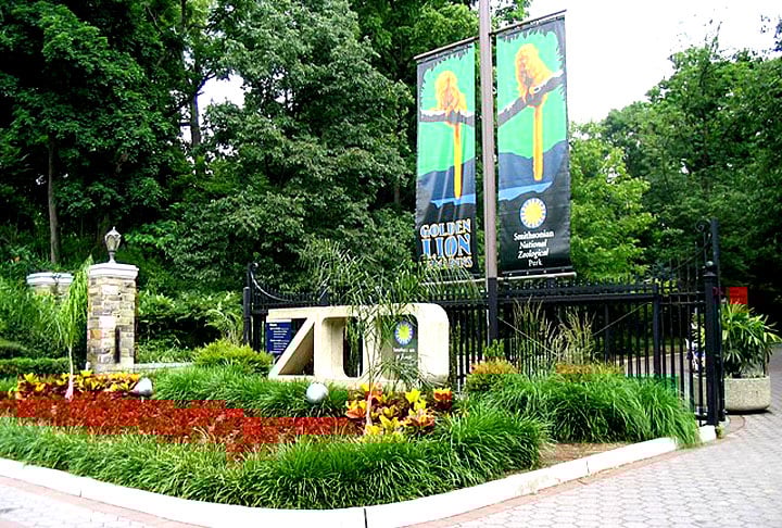 Smithsonian National Zoological Park, EUA: Com uma área grande de 163 acres, este zoológico da capital americana atrai cerca de dois milhões de visitantes todos os anos.