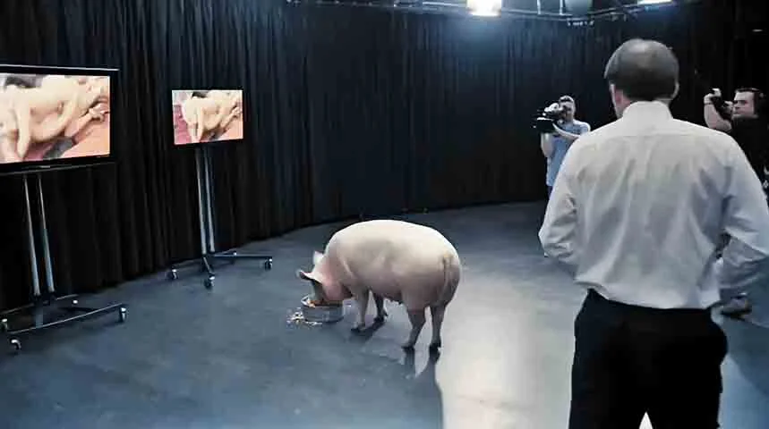 Na estreia da primeira temporada, Black Mirror já deixava claro a que vinha. The National Anthem (S01E01) choca ao mostrar o primeiro-ministro britânico forçado a cometer um ato humilhante em rede nacional, expondo o poder das redes sociais e da opinião pública.