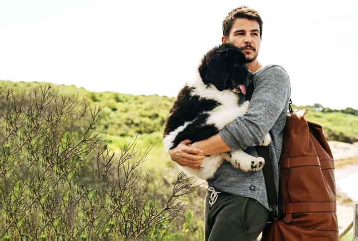 Natural de Minnesota, nos Estados Unidos, Josh Hartnett é um astro de filmes de ação bastante conhecido em Hollywood. 

