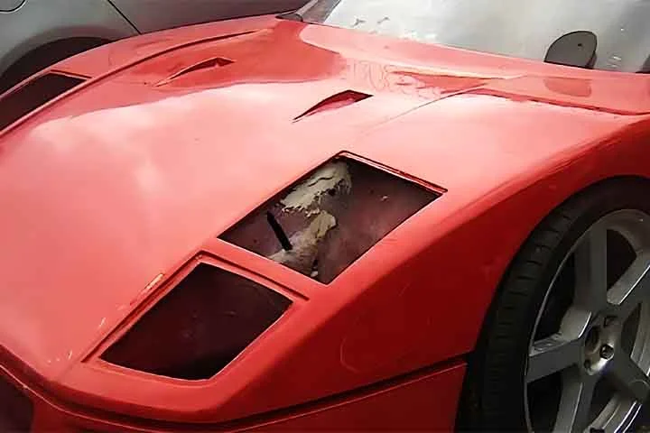 O protótipo foi apreendido para passar por uma perícia. José Vitor chegou a usar as redes sociais para expressar sua preocupação. A réplica foi apreendida para ser destruída. 