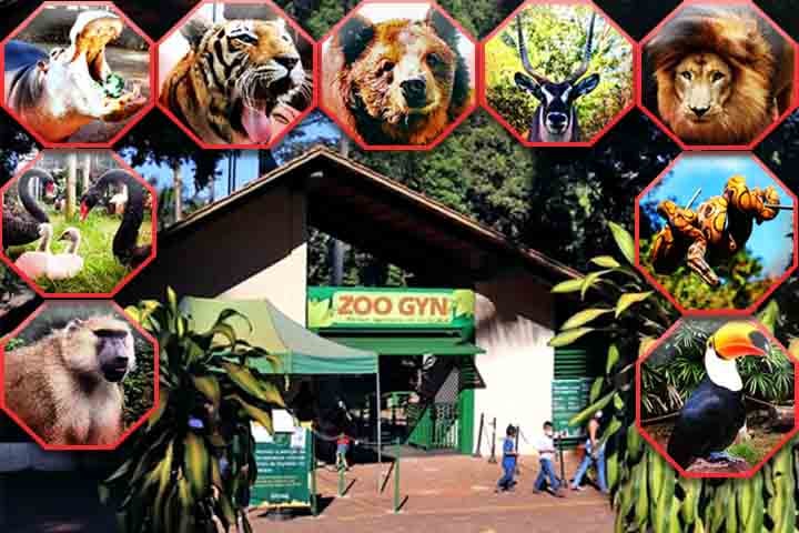 Zoo de Goiânia: Inaugurado em 1946 e localizado no Lago das Rosas, é um dos zoológicos mais antigos do país. Com cerca de 500 animais de várias espécies, atrai 15 mil visitantes por mês. O espaço é voltado à preservação e educação ambiental.