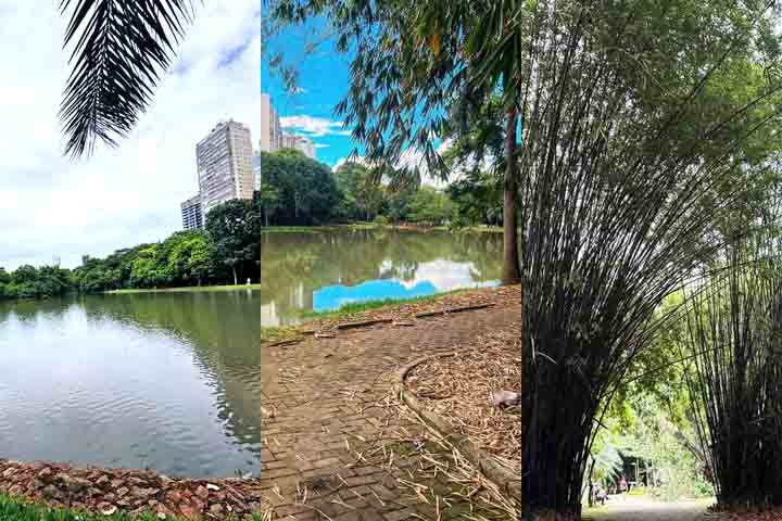 Parque Areião: Fundado na década de 1970 e localizado entre os setores Marista e Pedro Ludovico, é um dos maiores parques urbanos de Goiânia. Com uma extensa área verde, trilhas e pequenos animais, atrai em média 10 mil pessoas por mês. É perfeito para lazer e contemplação.
