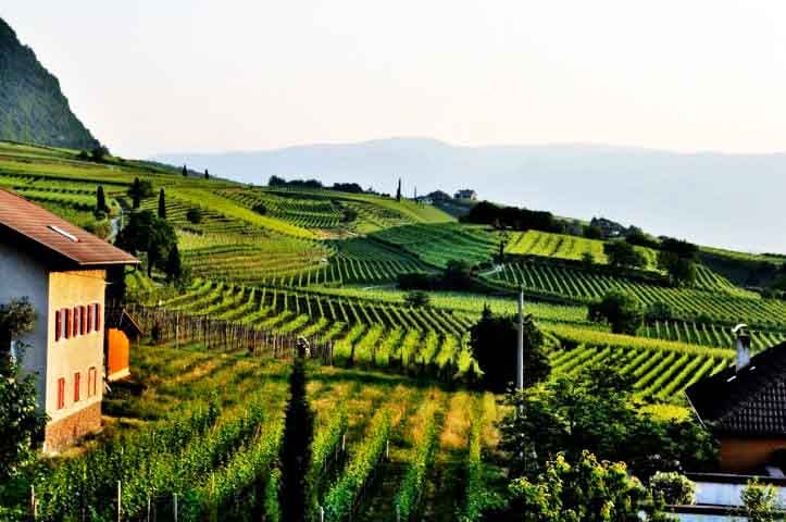 Fazenda e Agriturismo: Este estilo de acomodação permite que os turistas experimentem as rotinas da vida rural. São muito comum em regiões como a Toscana, na Itália.