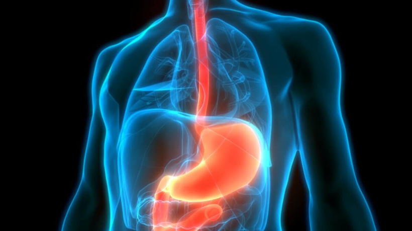 O câncer de esôfago evolui rapidamente e de forma silenciosa (Imagem: Magic mine | Shutterstock) 