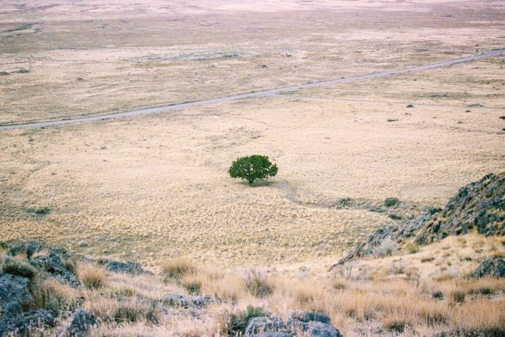 O problema veio quando o clima mudou: a floresta diminuiu, o ambiente ficou mais seco e as estações do ano mais definidas. 