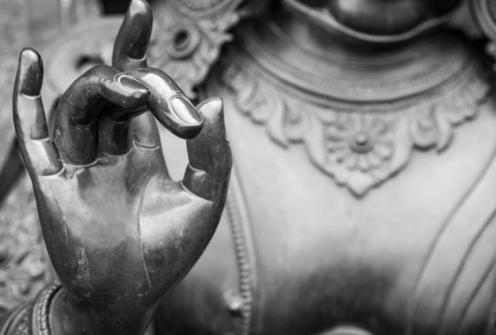 O Budismo é uma das religiões mais difundidas do mundo, com cerca de 500 milhões de seguidores. No Brasil, são cerca de 250 mil pessoas que seguem a filosofia de Sidarta Gautama, o Buda. 