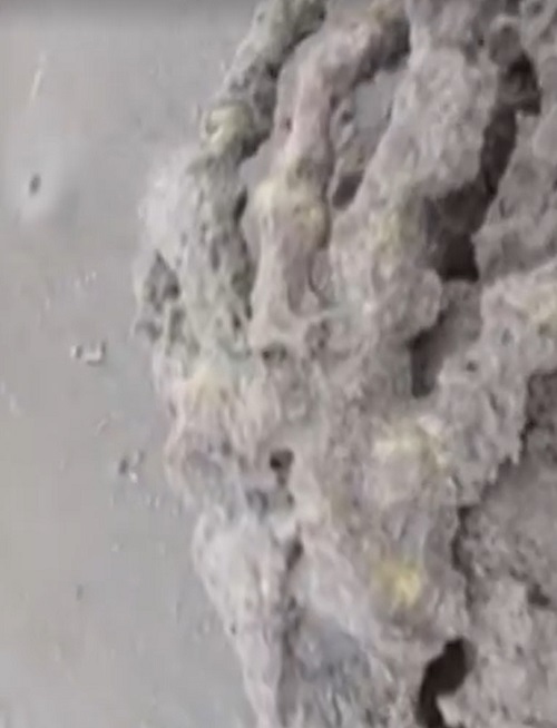 O que mais assustou os dois e diversas pessoas que acompanharam as imagens é o formato e o tamanho dos ossos.