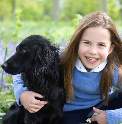 3º- Princesa Charlotte de Gales: Filha mais velha do Príncipe William e terceira na linha de sucessão. No momento, ela ocupa a posição anteriormente ocupada por seu tio, Príncipe Harry.


