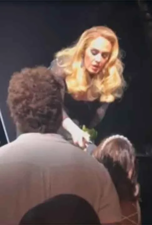 Adele então interrompeu seu show para perguntar de onde era o casal. Gabi respondeu Brasil, deixando a cantora animada. Foi então que o noivo teve a ousadia de perguntar se ela gostaria de ser a madrinha deles