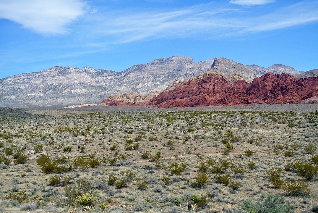 O Red Rock Canyon fica a cerca de 27 km da cidade. O parque estadual é perfeito para trilhas, escalada e passeios cênicos, com formações rochosas vermelhas icônicas e vistas espetaculares​