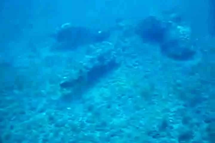 “Investiguei até o nome da mãe do comandante. Esses dados estão publicados, mas ninguém fez nada”, lamentou o arqueólogo.