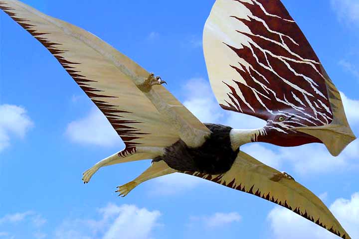 Os pterossauros constituem uma ordem extinta da classe Reptilia, que corresponde aos répteis voadores do período Mesozóico. Embora sejam seus contemporâneos, estes animais não eram dinossauros.