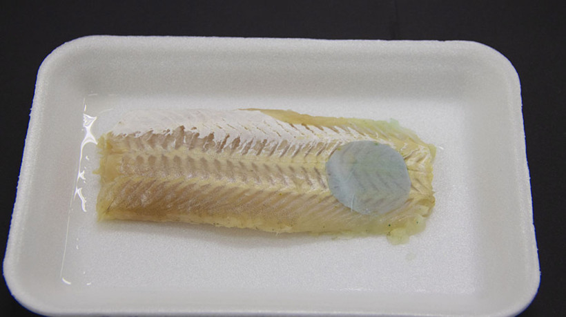Embalagem do estudo da Embrapa que identifica quando peixe conservado está estragado
