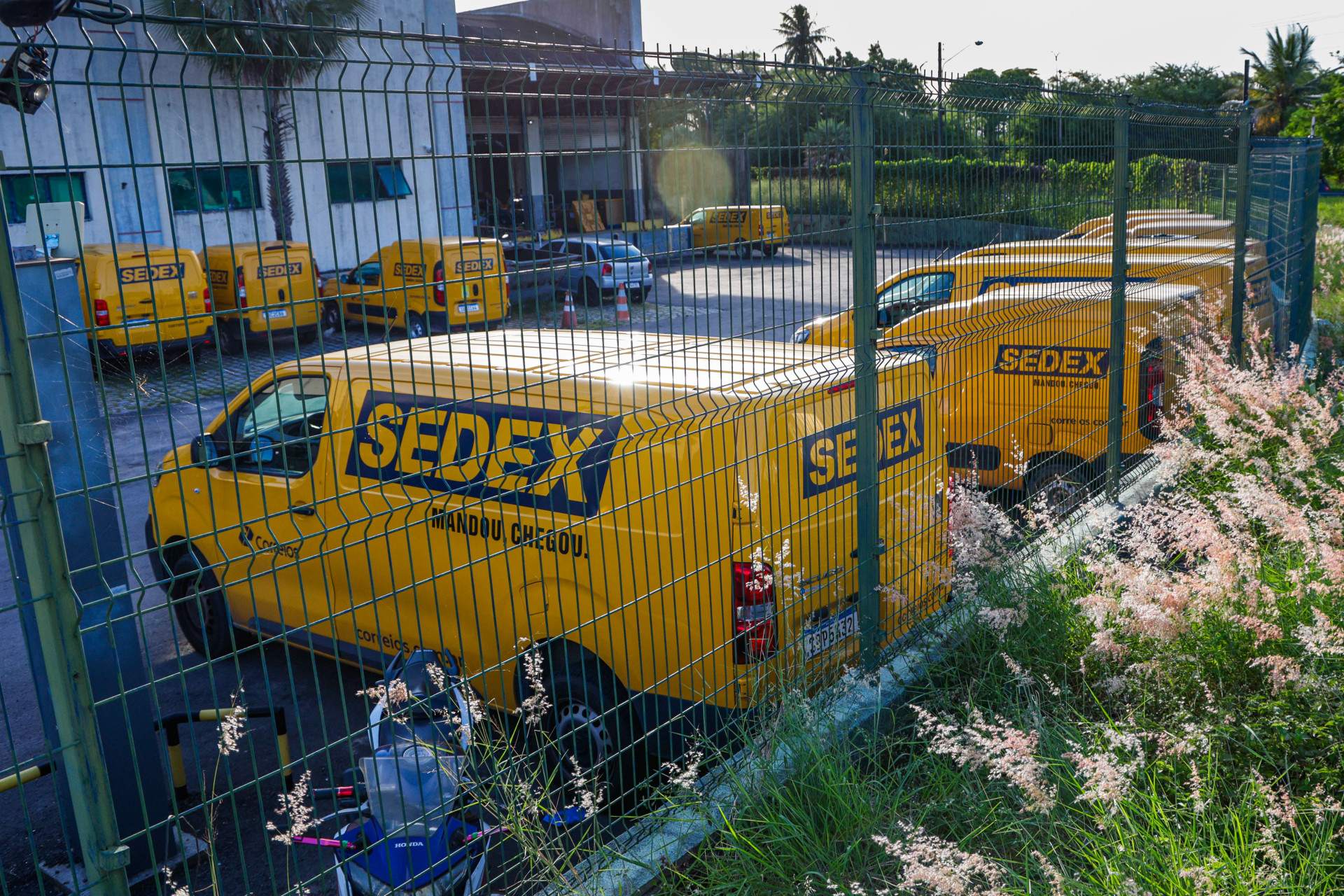 Trabalhadores dos Correios est&atilde;o em greve em nove estados, inclusive no Cear&aacute;  (Foto: FCO FONTENELE / O POVO)