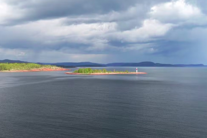 A descoberta revela que uma área de 500 km no Mar Báltico é coberta por uma enorme população de clones, possivelmente a maior já registrada pela ciência.