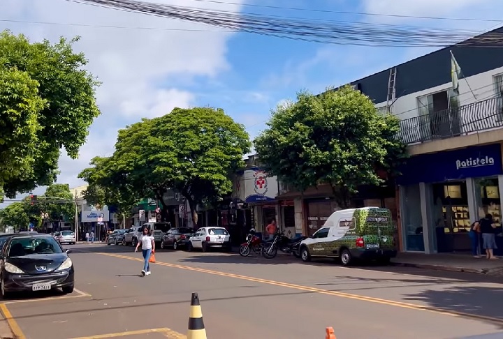 O vídeo de um cachorro 