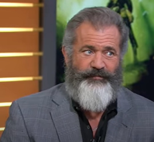 As lideranças da indústria australiana apelaram a Mel Gibson por ele ser conselheiro de Trump e ter dado os primeiros passos na carreira na Austrália. Elas alegam que as tarifas podem causar um colapso na economia cinematográfica local, com impacto de até 650 milhões de dólares, causando desemprego e aumento significativo dos preços dos ingressos. 
