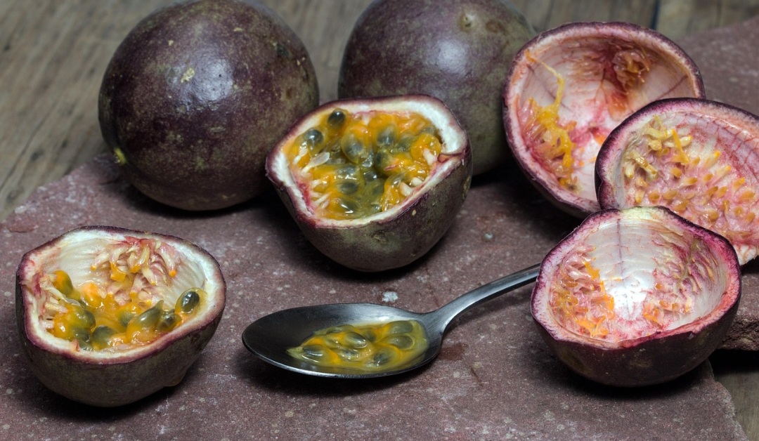 Ele, então, possui um simbolismo religioso. Afinal, missionários espanhóis, ao observarem a flor do maracujá, o associaram aos elementos da Paixão de Cristo, como os pregos e a coroa de espinhos, daí a denominação fruta da paixão em outras línguas. 