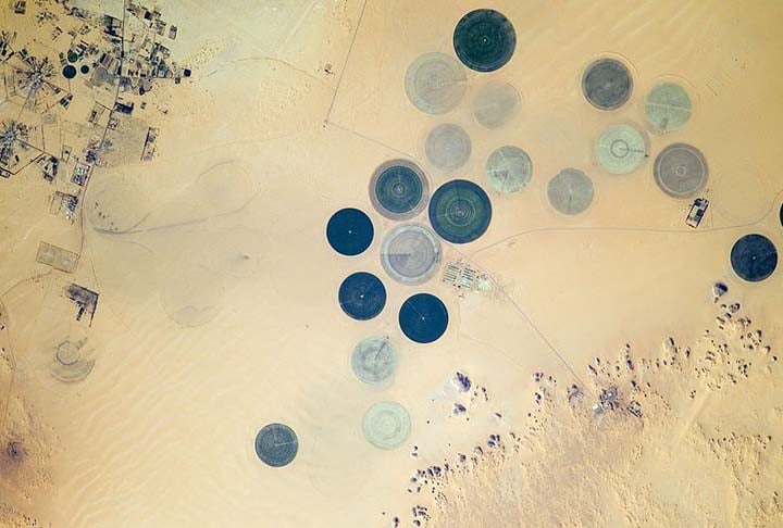 Os círculos e as manchas são produto dos aspersores de irrigação da água do sistema. 