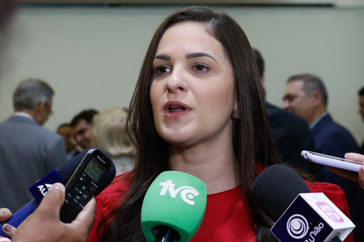 FORTALEZA, CEARÁ,  BRASIL- 16..05..2025:  Sâmia Costa Farias Maia, Defensora Pública Geral do Ceará. Governo do Estado, Alece e Sistema de Justiça promovem cooperação técnica pela proteção de crianças e adolescentes. /Daniel Galber Especial para O POVO)