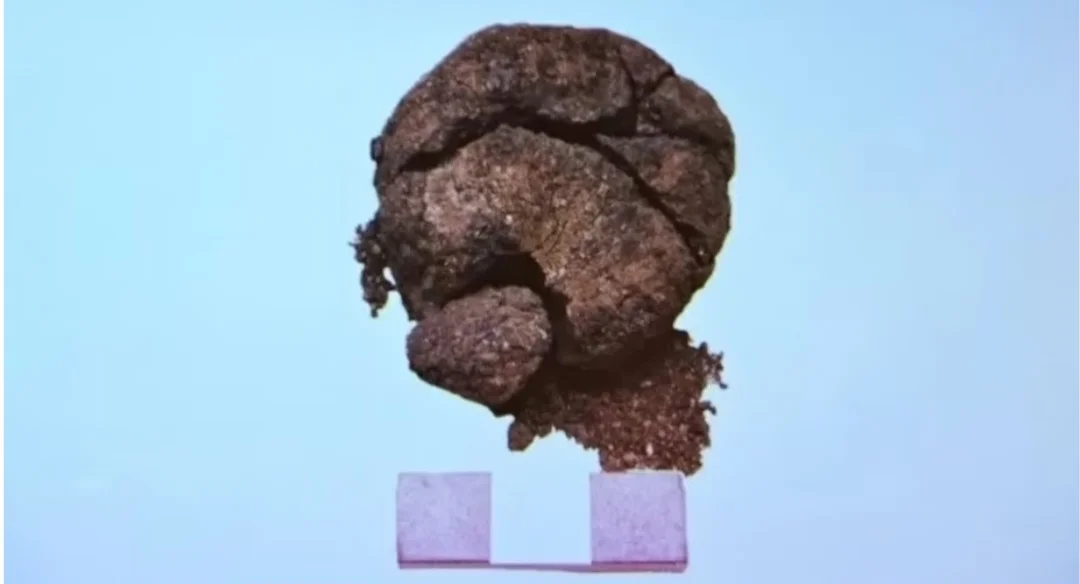 Os arqueólogos estimam que o pão tenha 8.600 anos. Ele estava dentro de uma estrutura que parece ter sido um forno. Descrito como esponjoso, o produto teria sido um pão de levedura. 