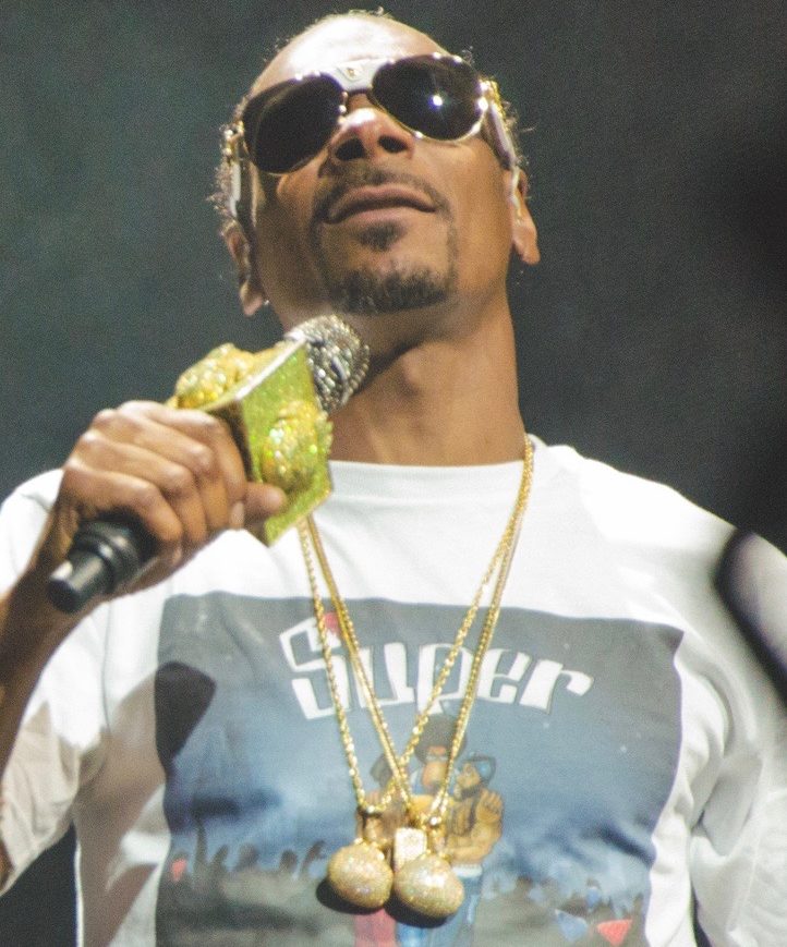 Nascido em Long Beach, Califórnia, em 1971, Snoop Dogg iniciou sua carreira musical ainda jovem, influenciado pela rica cena hip-hop da Costa Oeste dos Estados Unidos.
