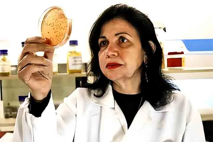 “É uma forma de levar uma imagem positiva da sustentabilidade no Brasil, de mostrar que a gente não é só devastação”, destacou a cientista. 

