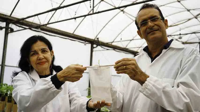 Essa luta de anos finalmente está dando frutos e pode servir de exemplo para outras cooperativas, declarou a cientista, ao falar dos trabalhos de bioinsumos voltados para agricultores familiares. 
