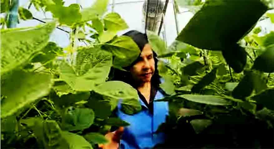 A estimativa é que suas pesquisas tenham gerado alternativas de técnicas adotadas em mais de 40 milhões de hectares cultivados no Brasil. 
