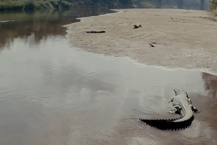 A única questão é se vai levar cinco ou 10 minutos. Não acho que você chegará a 15 - você será despedaçado, continuou.