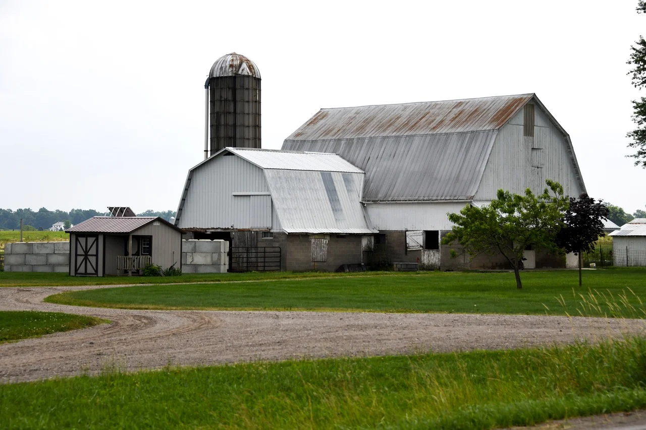 Como parte dos menonitas, os amishs são descendentes dos grupos suíços de anabatistas chamados de reforma radical. Eles tiveram suas origens com Felix Manz (1498-1527) e Conrad Grebel (1498-1526). 