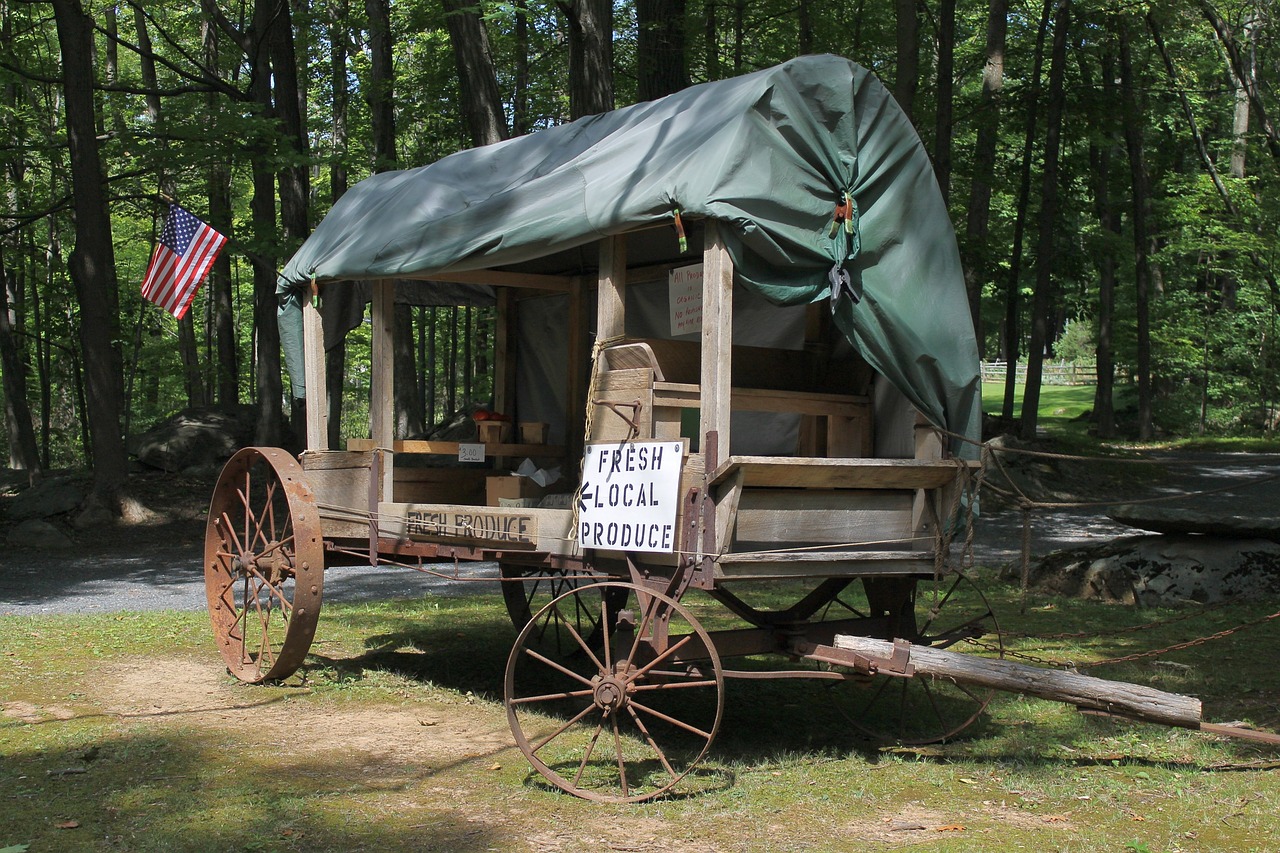 O movimento amish começou, em 1693, com Jacob Amman (1656-1730), que foi um líder menonita do Alsácia. Ele acreditava que o grupo estava se distanciando dos ensinamentos de Menno Simons.