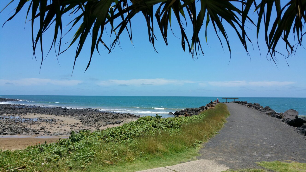 A Sunshine Coast conta com praias de areia branca e uma área com mata que é destino de quem gosta de trilhas e tem vontade de ver de perto animais nativos, como coalas, cangurus e lagartos. Procurada também por quem gosta de mergulho e curte ver golfinhos. 