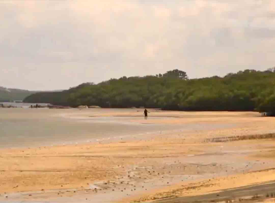 Por meio de modelos demográficos, os pesquisadores concluíram que essa plataforma submersa pode ter abrigado populações entre 50 mil e 500 mil pessoas em momentos variados. 