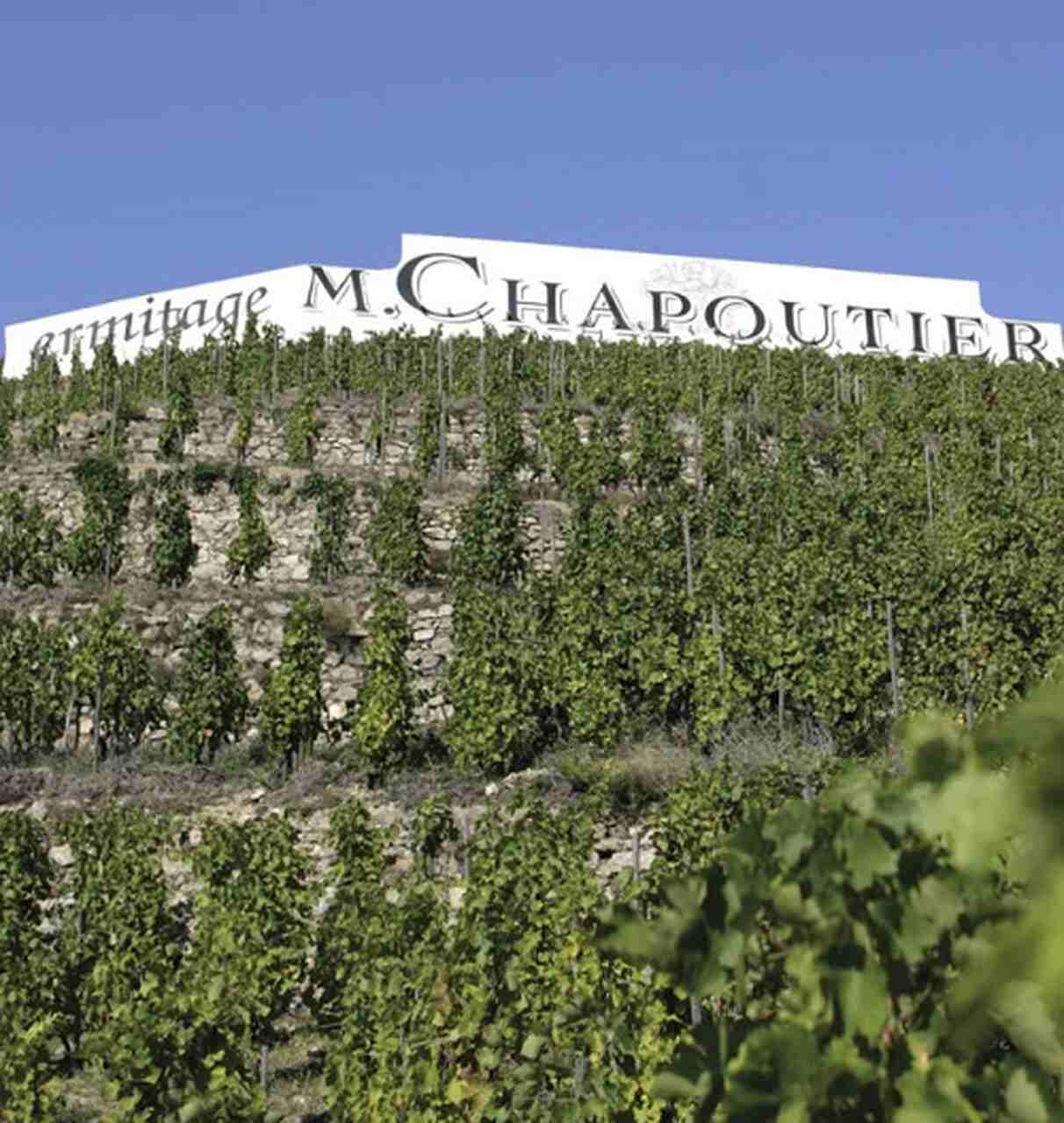 M. Chapoutier (França) - Vinícola do Vale do Rhône, produz vinhos tintos e brancos de alta qualidade, como o M. Chapoutier Hermitage